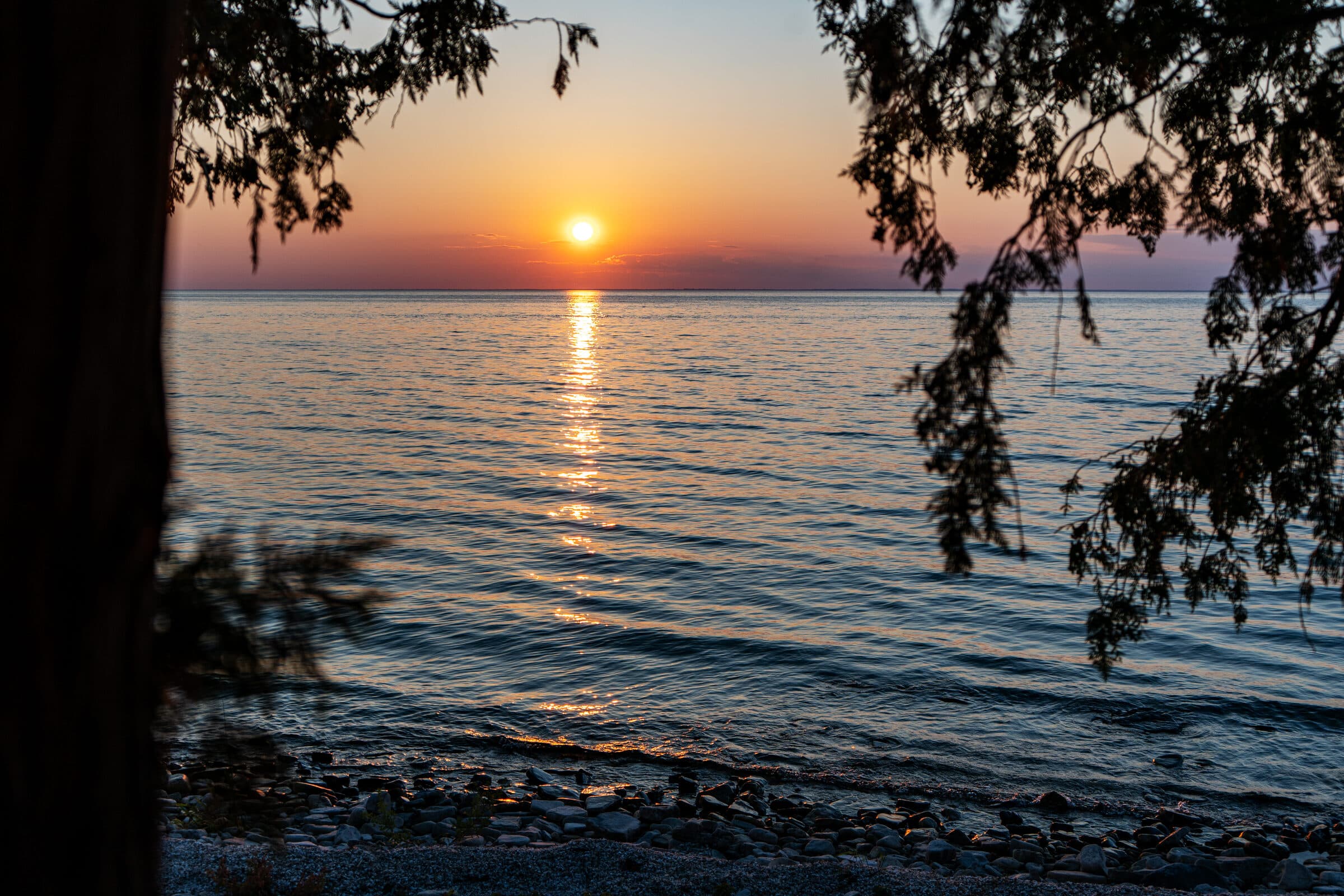 Lake sunset through bare branches